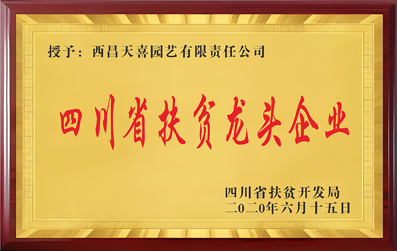 2020四川省扶贫龙头企业